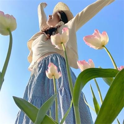决不低头 在线观看